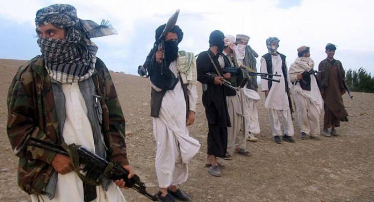 اندرابی: جنگ جویان طالبان برای سال آینده آمادگی می گیرند